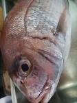 IMG_20171027_123806.jpg