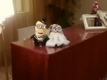IMG_20171023_204848.jpg